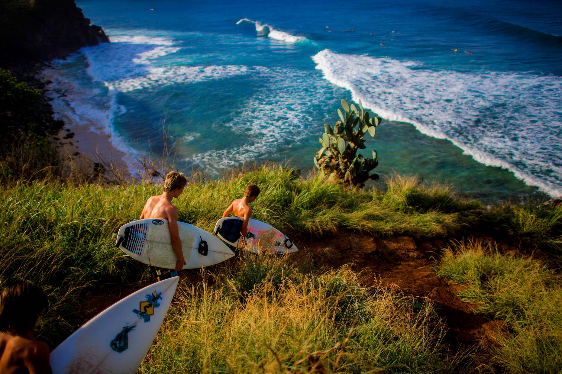 Honolua Bay
